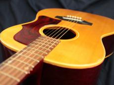 Gibson B-25 Natural_13