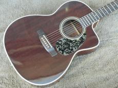 Takamine PT05EC