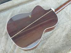Takamine PT05EC_4
