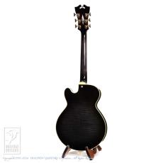D’ANGELICO NYSS-3B (See-Through Black)_5