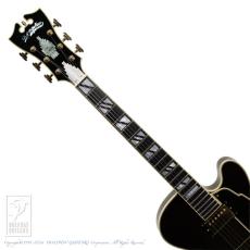 D’ANGELICO NYSS-3B (See-Through Black)_6
