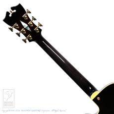 D’ANGELICO NYSS-3B (See-Through Black)_7