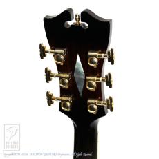 D’ANGELICO NYSS-3B (See-Through Black)_9