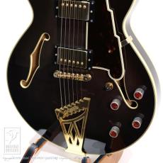 D’ANGELICO NYSS-3B (See-Through Black)_12