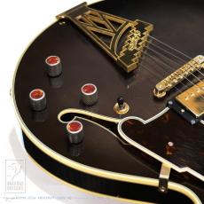 D’ANGELICO NYSS-3B (See-Through Black)_14