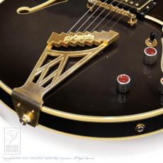 D’ANGELICO NYSS-3B (See-Through Black)_15