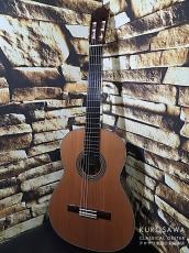 KODAIRA [小平] AST-150C 杉・ローズウッド【日本総本店2F 在庫品】