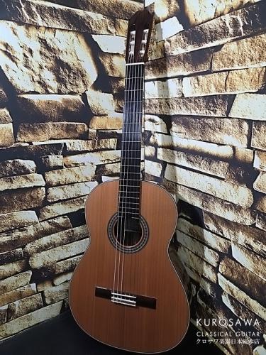 KODAIRA [小平] AST-150C 杉・ローズウッド【日本総本店2F 在庫品】