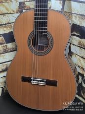 KODAIRA [小平] AST-150C 杉・ローズウッド【日本総本店2F 在庫品】_2