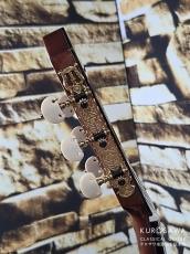 KODAIRA [小平] AST-150C 杉・ローズウッド【日本総本店2F 在庫品】_8