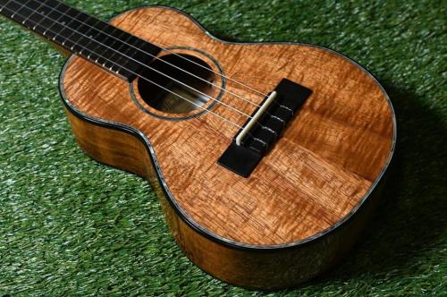 Ana'ole ACC Concert#2