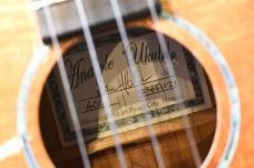 Ana'ole ACC Concert#2_16