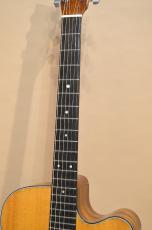 Seagull by M.Shiozaki　M-50CW　1999年頃_6