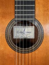 Carlos Salmone 杉/ハカランダ単板　640mm　極美品　ファンホ・ドミンゲス　値下げしました_5