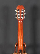 Carlos Salmone 杉/ハカランダ単板　640mm　極美品　ファンホ・ドミンゲス　値下げしました_6