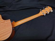 Taylor 112ce_8