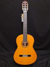 YAMAHA GC22S