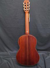 YAMAHA GC22S_2