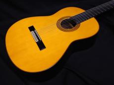 YAMAHA GC22S_5