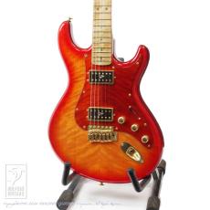 Ruokangas Guitars VSOP DX Birth Custom