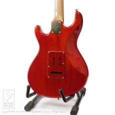 Ruokangas Guitars VSOP DX Birth Custom_3