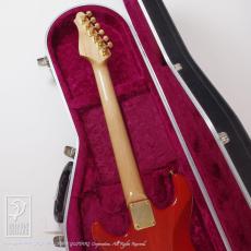 Ruokangas Guitars VSOP DX Birth Custom_8