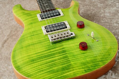 Paul Reed Smith [PRS] SE CUSTOM 24 ～Eriza Verde～【48回無金利】