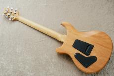 Paul Reed Smith [PRS] SE CUSTOM 24 ～Eriza Verde～【48回無金利】_11