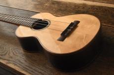 Hongoh Concert 407s _2