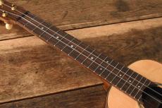 Hongoh Concert 407s _4