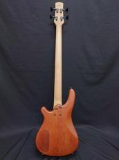 Aria Pro II B-60 STBR_2