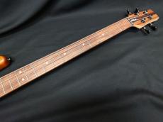 Aria Pro II B-60 STBR_7