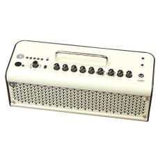 YAMAHA THR30II Wireless