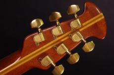 Ovation 1617 Legend_5