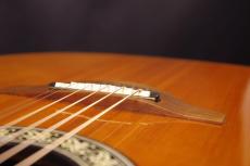Ovation 1617 Legend_6