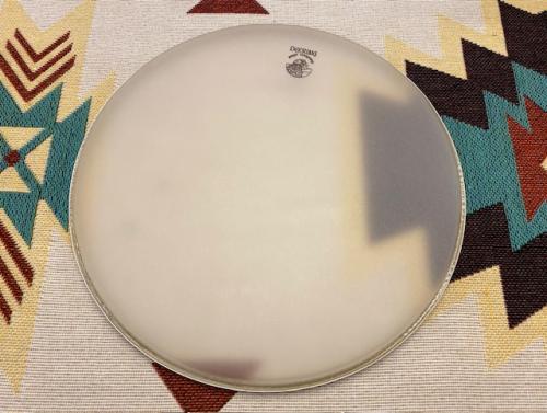 REMO Deering 12" Renaissance Banjo Head