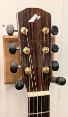 Morris SC-71 【モリダイラ楽器 特選モデル】_5