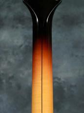 Gretsch 1959 6124 Single Anniversary_8