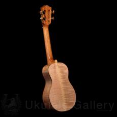 KOU ukulele Concert D model - Curly Maple_4