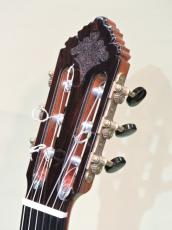 黒澤　哲郎 Dinastía【ディナスティア】_2