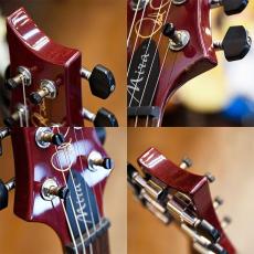 Paul Reed Smith [PRS] S2 Mira_3