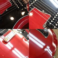 Paul Reed Smith [PRS] S2 Mira_6