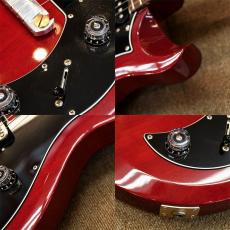 Paul Reed Smith [PRS] S2 Mira_7