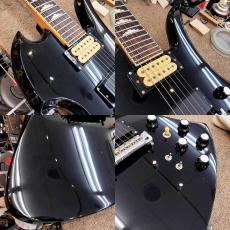 FERNANDES MG-70X_4