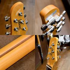 Ibanez TM730_3