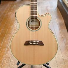 Takamine TSP138C
