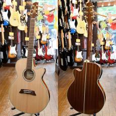 Takamine TSP138C_2