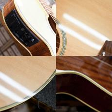 Takamine TSP138C_3