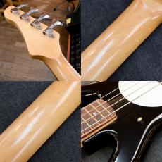 FLEABASS JUNIOR BASS THE WILD ONE_4