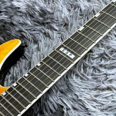 E-II HORIZON NT-II Tiger Eye Amber Fade 【特価】 【受注生産モデル】 【日本製】_5